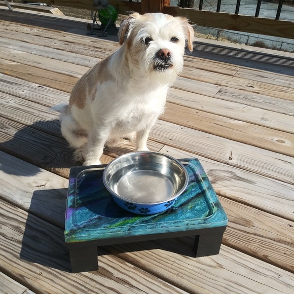 CUSTOM Pet Feeding Station Elevated Wood Art - Picture 3 of 17